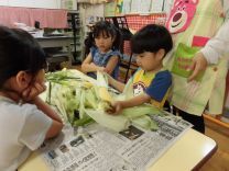 写真:とうもろこしの皮むき7