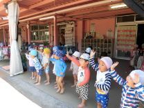 写真:ちょうちょ2