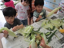 写真：とうもろこし皮むき5