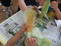 写真：とうもろこし皮むき3