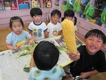 写真：とうもろこし皮むき4