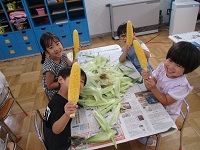 トウモロコシを剥き終わった写真