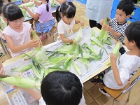 とうもろこしの皮むきをしている様子の写真