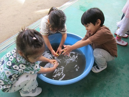 いも洗いの様子の写真