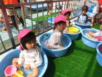 写真:乳児クラスの水あそび8