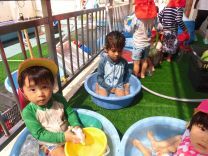 写真:乳児クラスの水あそび5