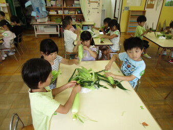 とうもろこしの皮むきの様子の写真