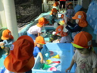 2歳児が水遊びしている様子