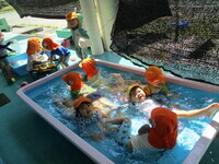 2歳児がプールで遊ぶ様子
