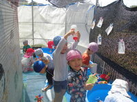 4歳児がプールサイドで水遊びをしている様子