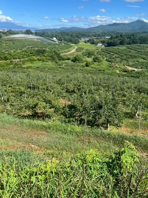 紫波長岡果樹園