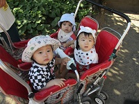 0歳児クラスがワゴンで見学している様子の写真