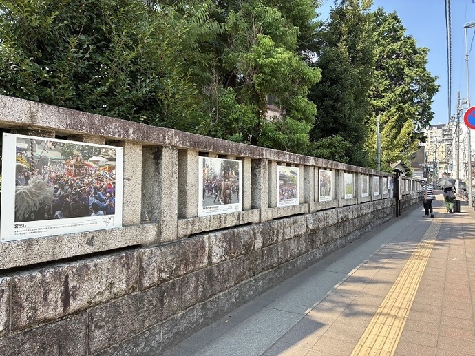八坂神社の玉垣に写真が展示されている様子の写真