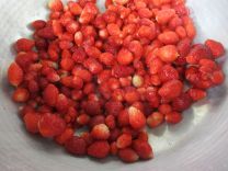 写真：らいおん組が育てたイチゴ