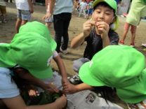 写真：ひまわり7