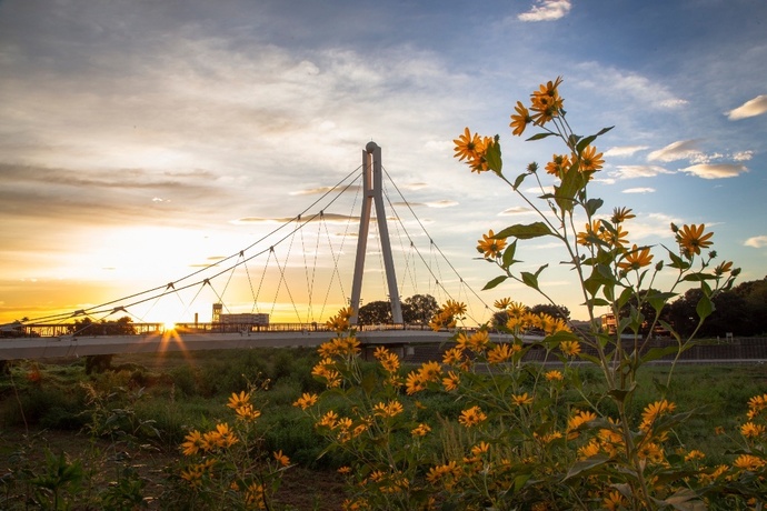 写真:『はじまり』