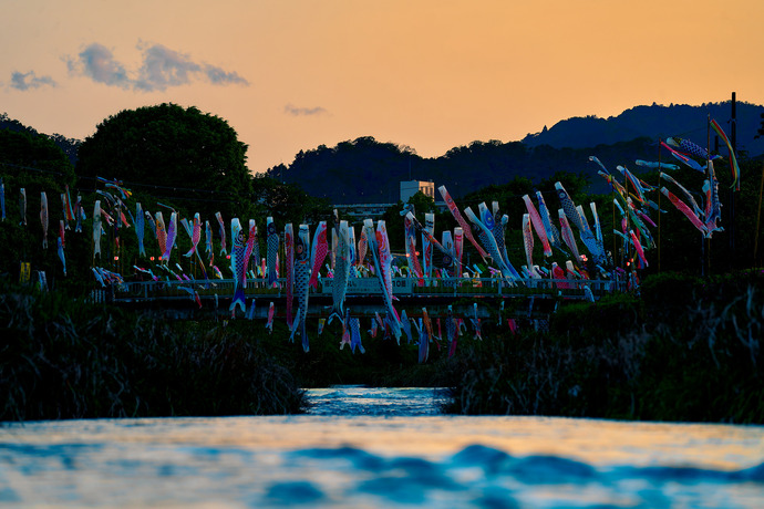 写真:『夕暮れを泳ぐ』