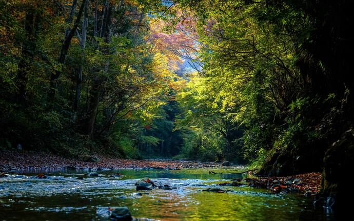写真:『秋の入口』