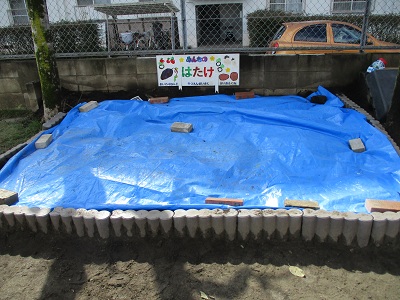 畑の様子の写真