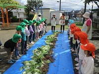 野菜くずを見ている子どもの様子の写真