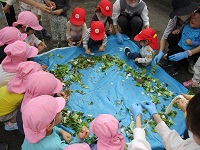 1,2歳児が野菜契りを手伝っている様子の写真