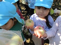 りんご狩りの写真