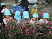 せせらぎ農園の写真