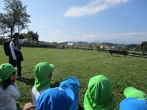 写真：4,5歳遠足5