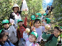りんごをとっている子供たちの写真