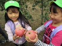 写真：りんご摘み4