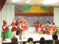 どんぐりにんじゃとさむらいの戦いの写真