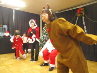 トナカイの写真