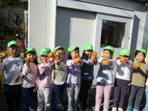 写真：みかん狩り5