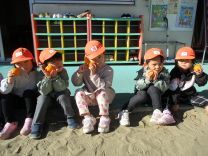 写真：みかん狩り7