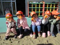 写真：みかん狩り8