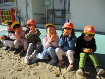 写真：みかん狩り9