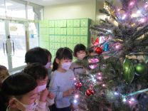 写真：クリスマスツリー4