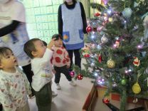 写真：クリスマスツリー6