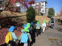 写真：お弁当給食1
