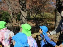 写真：お弁当給食2