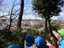 写真：お弁当給食6