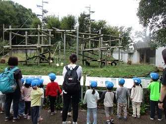 3歳児の子どもが職員と一緒に動物園のサルを見ている様子の写真