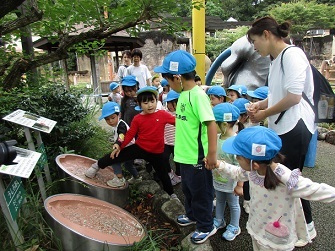 3歳児の子どもが、ゾウの足の大きさの模型と自分の足の大きさを見比べている様子の写真