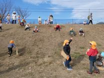 写真：お弁当給食4