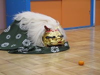 お獅子がミカンを見つめている写真