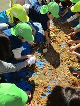 野菜くずをちぎる写真