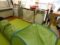 写真：ビニールトンネルの写真