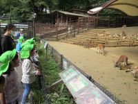 見ている写真です。