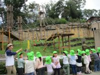 4歳児がオラウータンのロープ塔を見ている写真です。