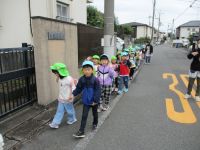 お弁当の写真です。